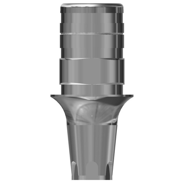 AN3110 CR-CO ANKYLOS NON ROT1